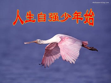 思想品德七年级下册第二单元第四课第一框的教学课件