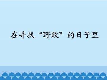 在寻找“野败”的日子里_课件1
