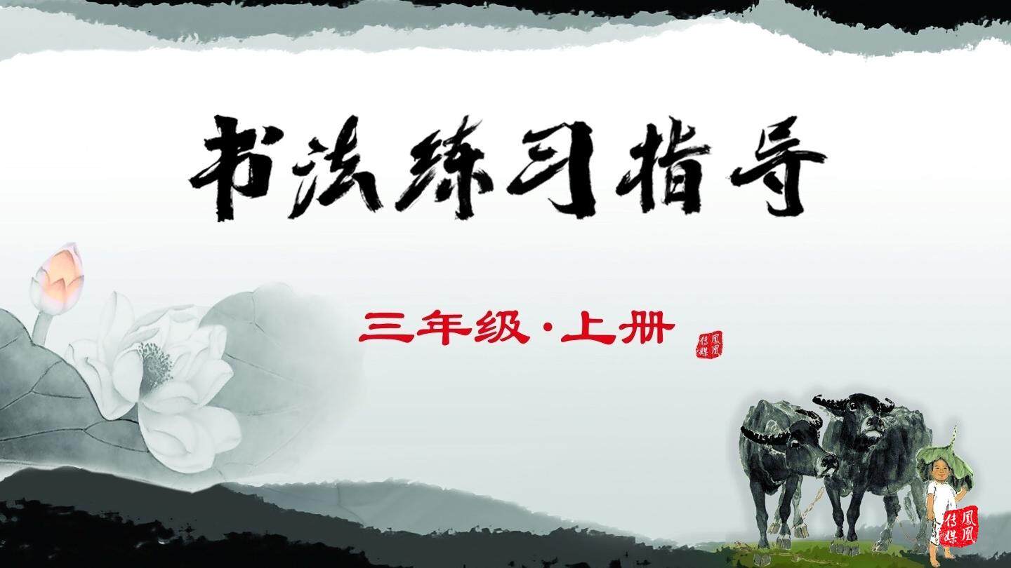 书法课程指导