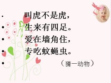 21 小壁虎借尾巴