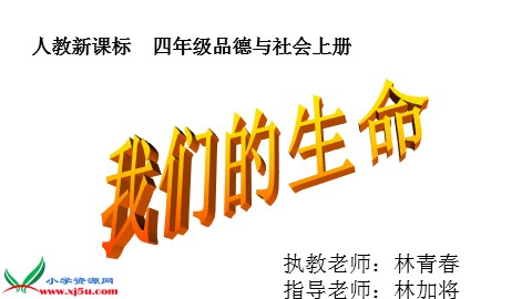 我们的生命