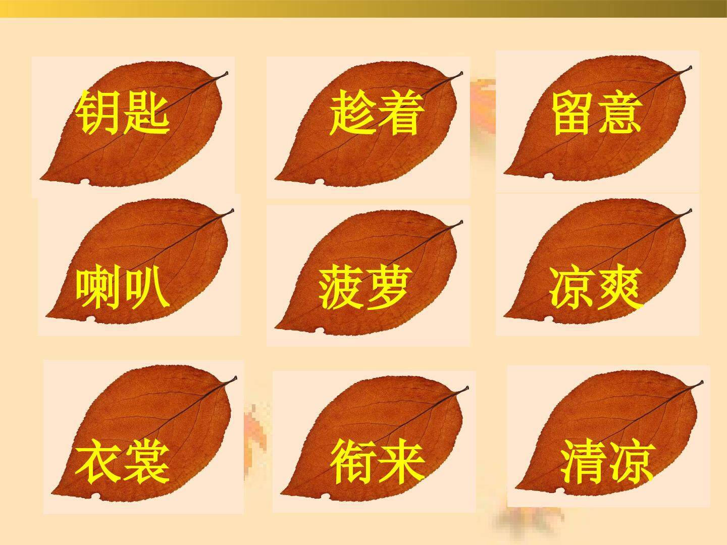 秋天的雨