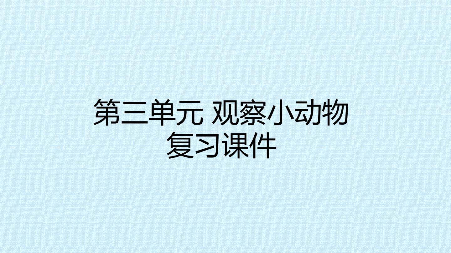 第三单元 观察小动物 复习课件
