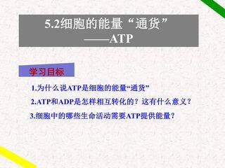 细胞能量通货----ATP