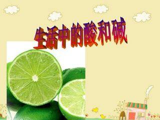生活中的酸和碱_课件1