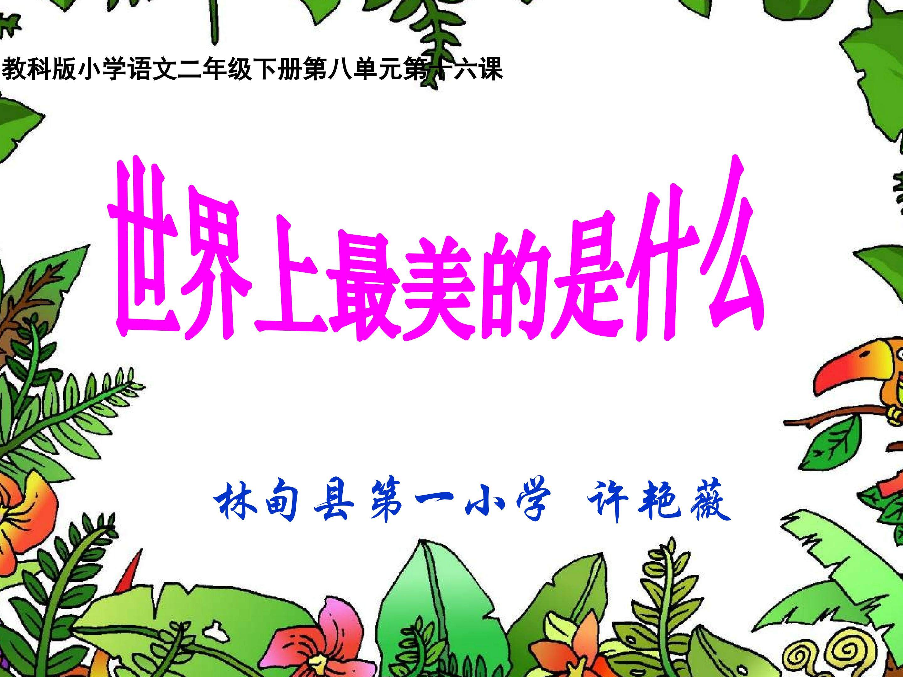 世界上最美的是什么