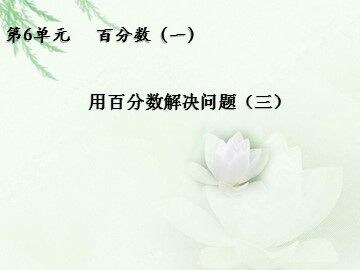 6 百分数（一）