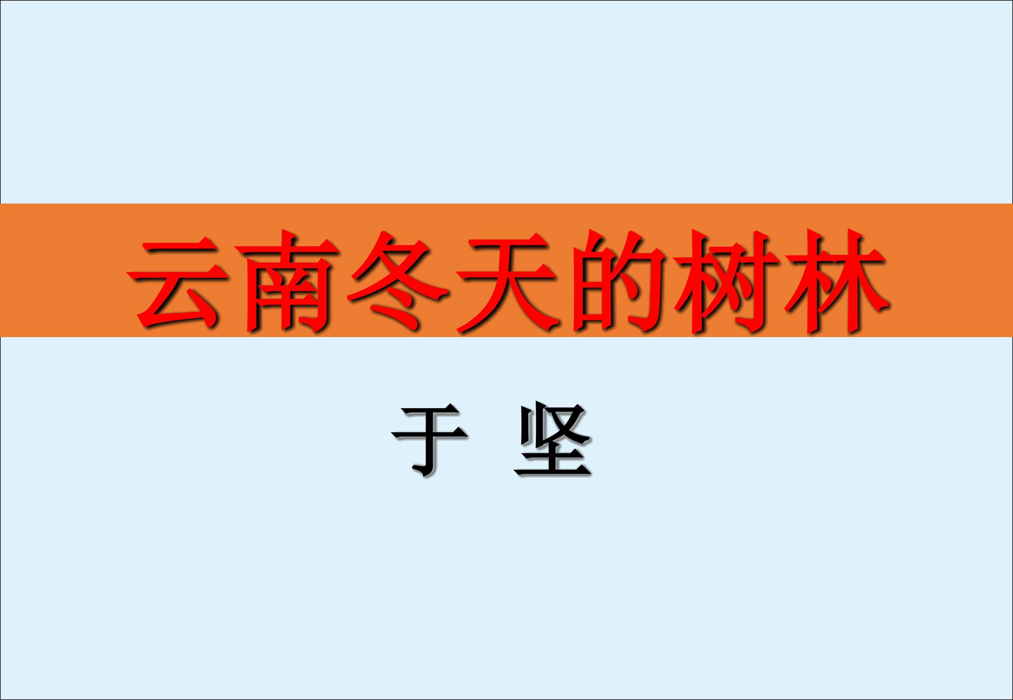 云南冬天的树林_课件1