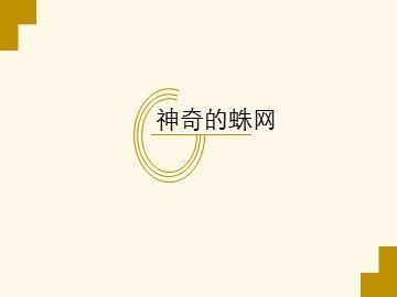 神奇的蛛网_课件1
