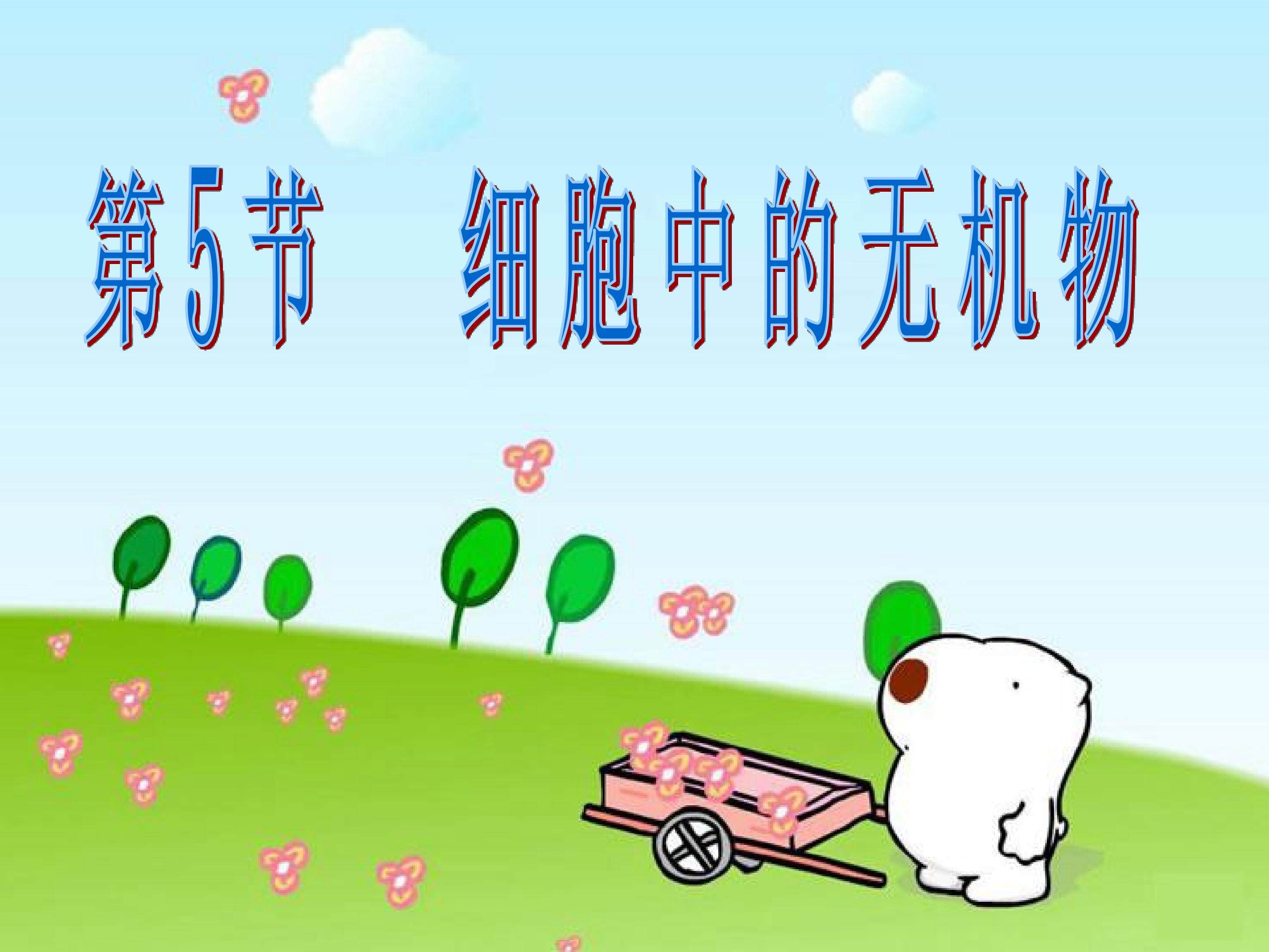 细胞中的无机物