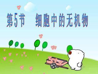 细胞中的无机物
