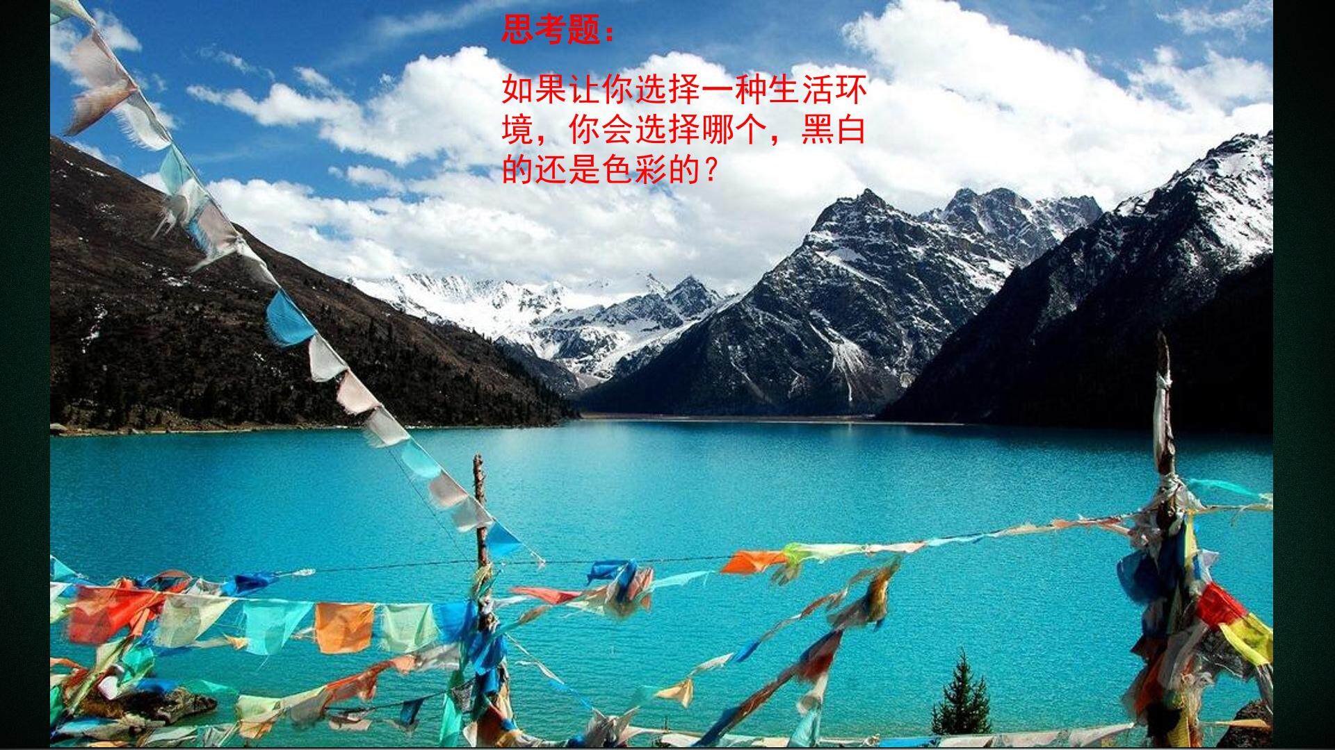 第二单元 春天的畅想  第一课 色彩的魅力