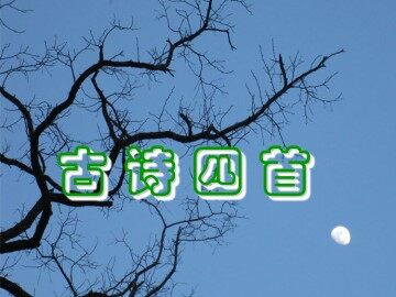 泊秦淮_课件6