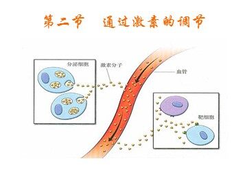 科学·技术·社会 评价应用激素类药物的利与弊