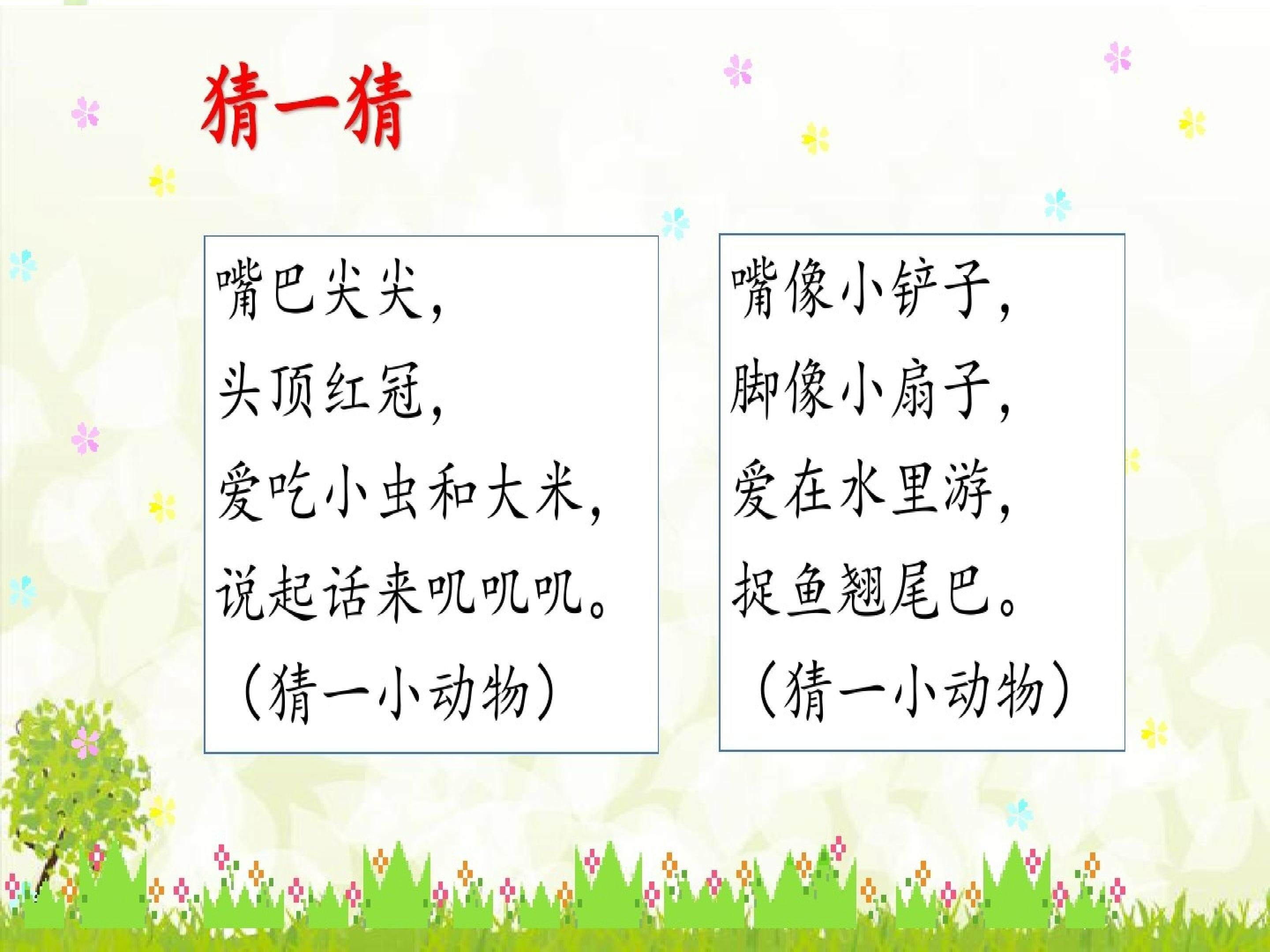 小公鸡和小鸭子