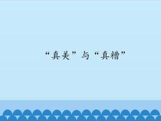 “真美”与“真糟”_课件1