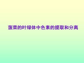 拓展 菠菜的叶绿体中色素的提取和分离_课件1