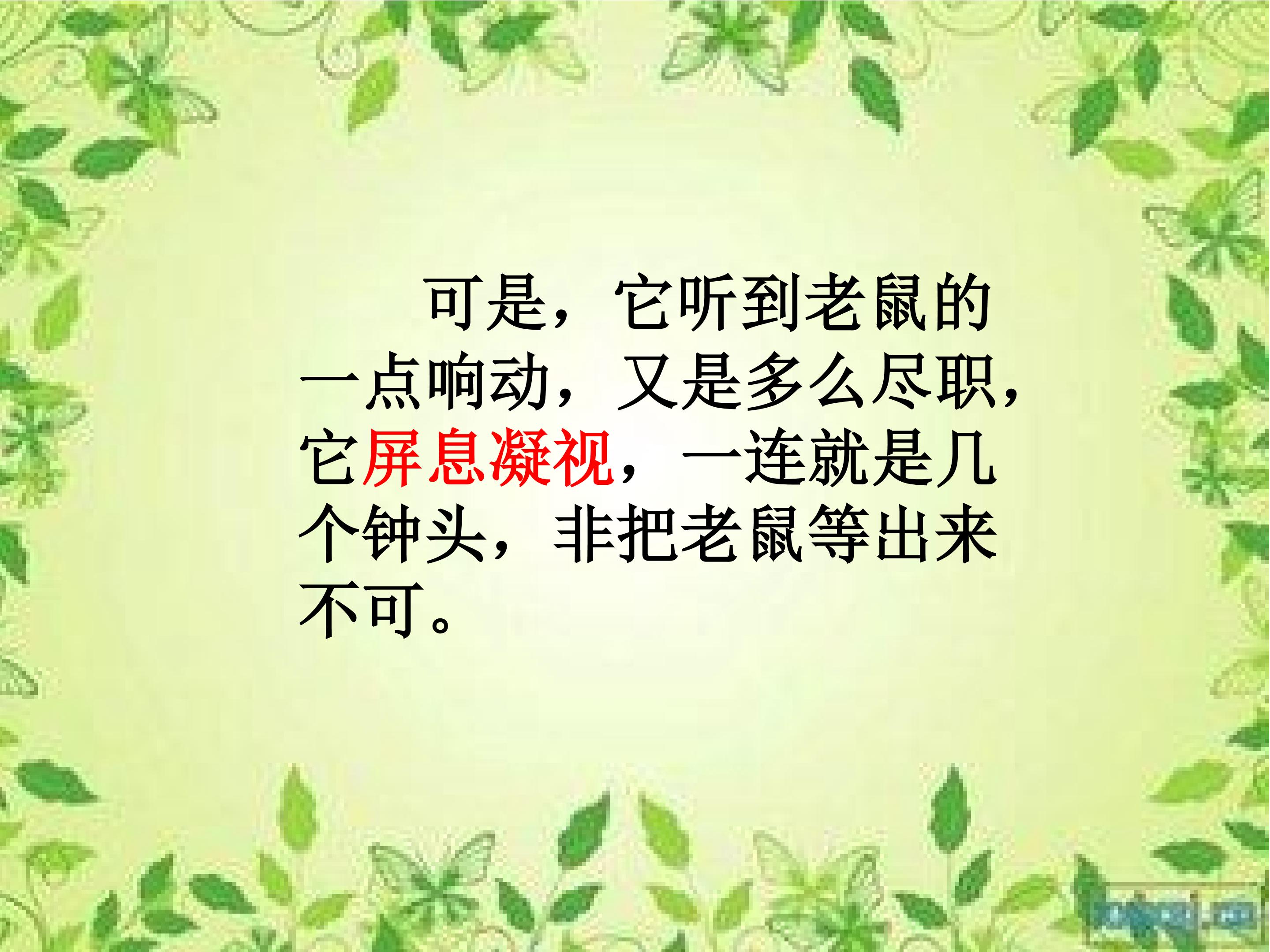 17.jpg