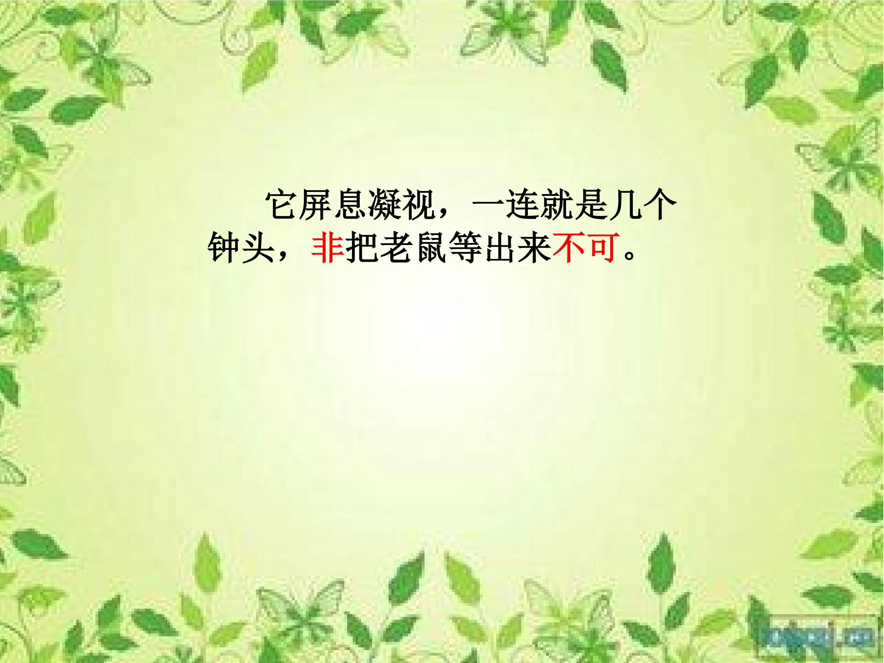18.jpg