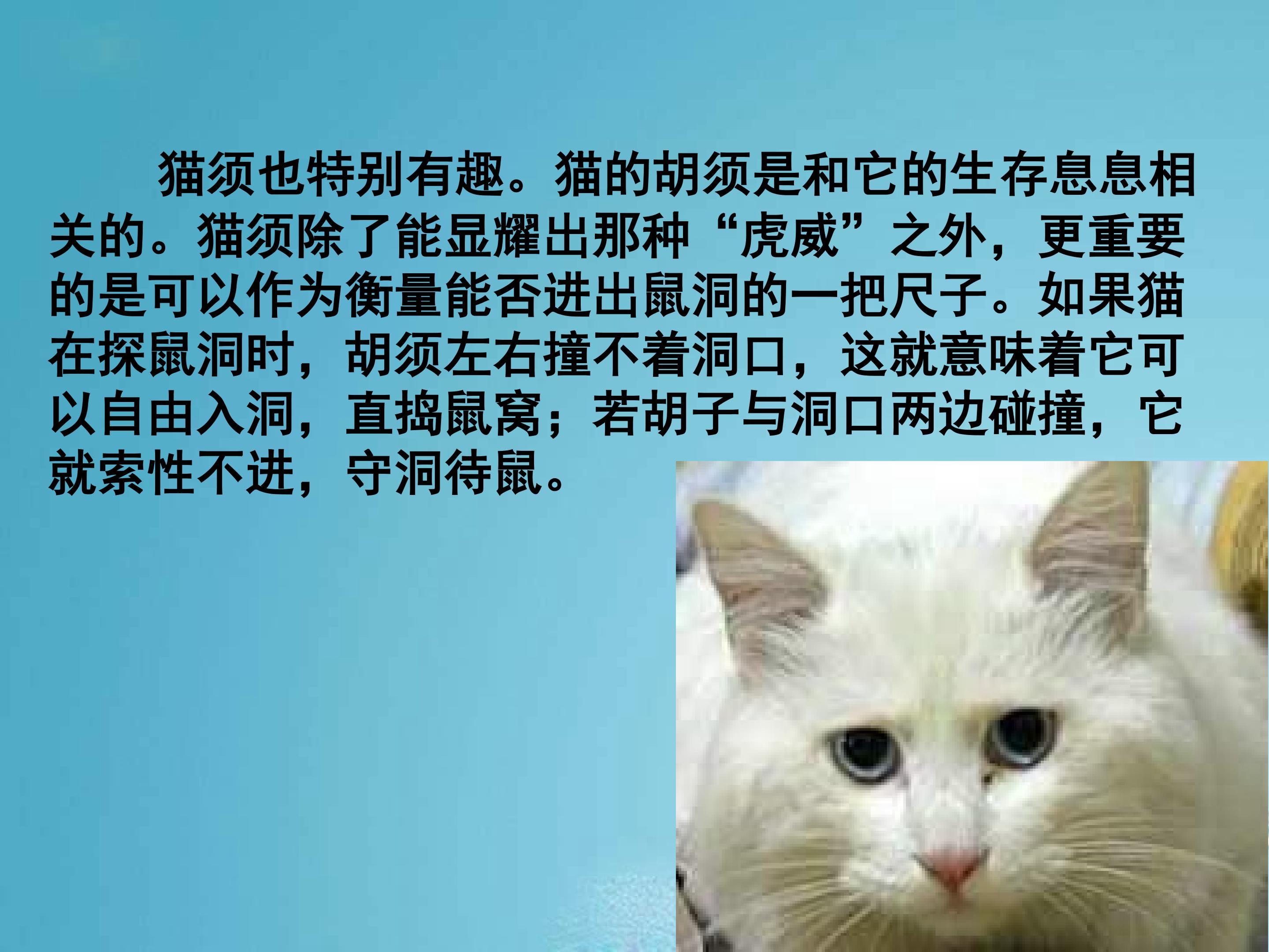 63.jpg