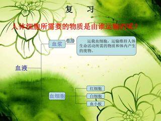 血流的管道--血管