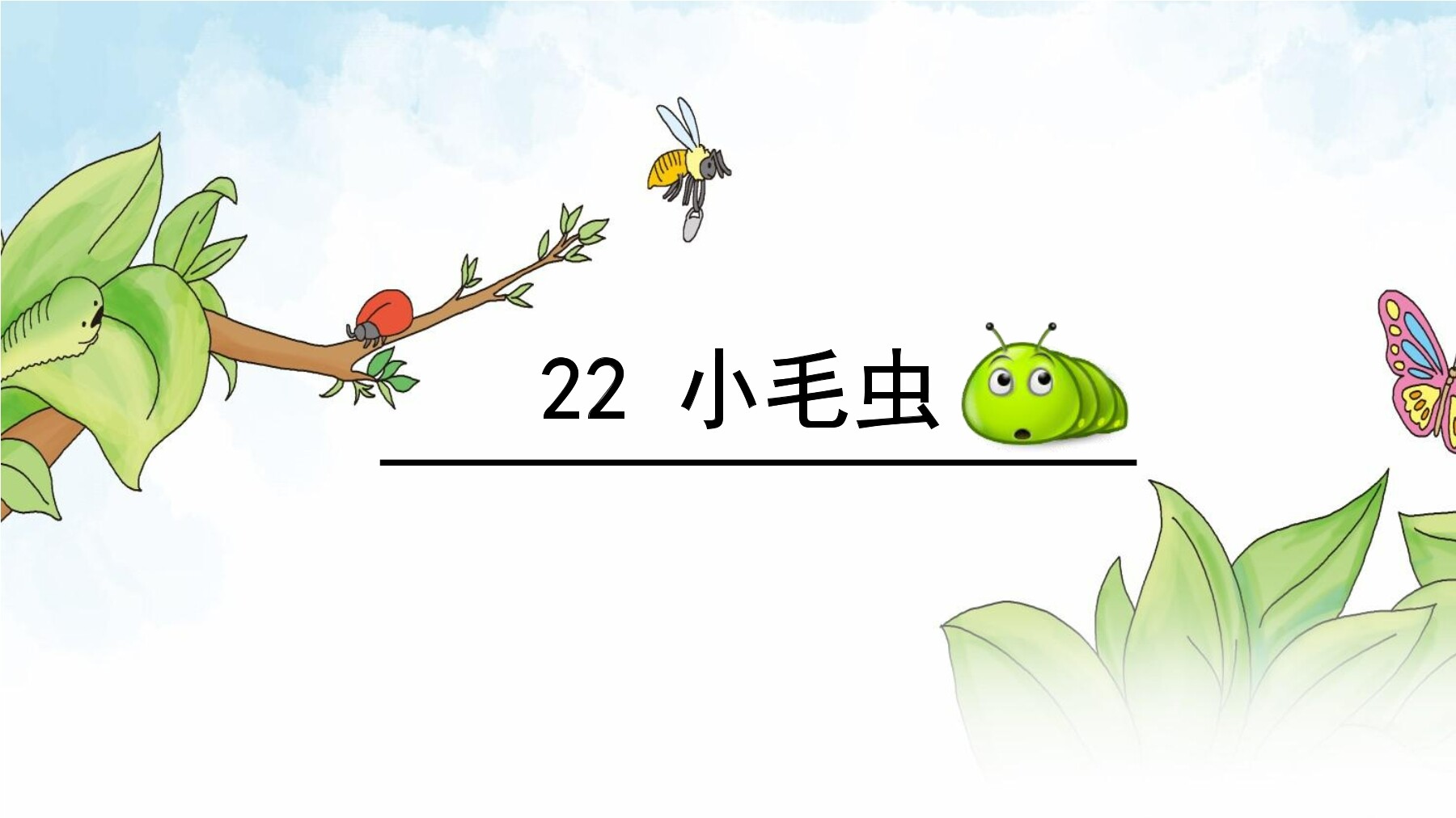 22.小毛虫