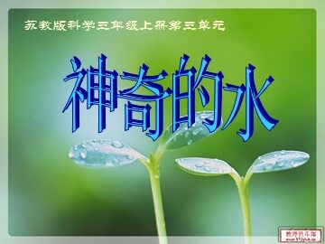 3. 神奇的水