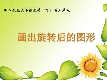 5 图形的运动（三）