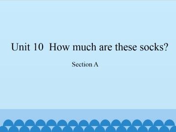 Unit 10  How much are these socks?-Section A_课件1