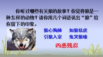 14* 鹿和狼的故事