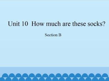 Unit 10  How much are these socks?-Section B_课件1