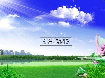 《斑鸠调》_课件1