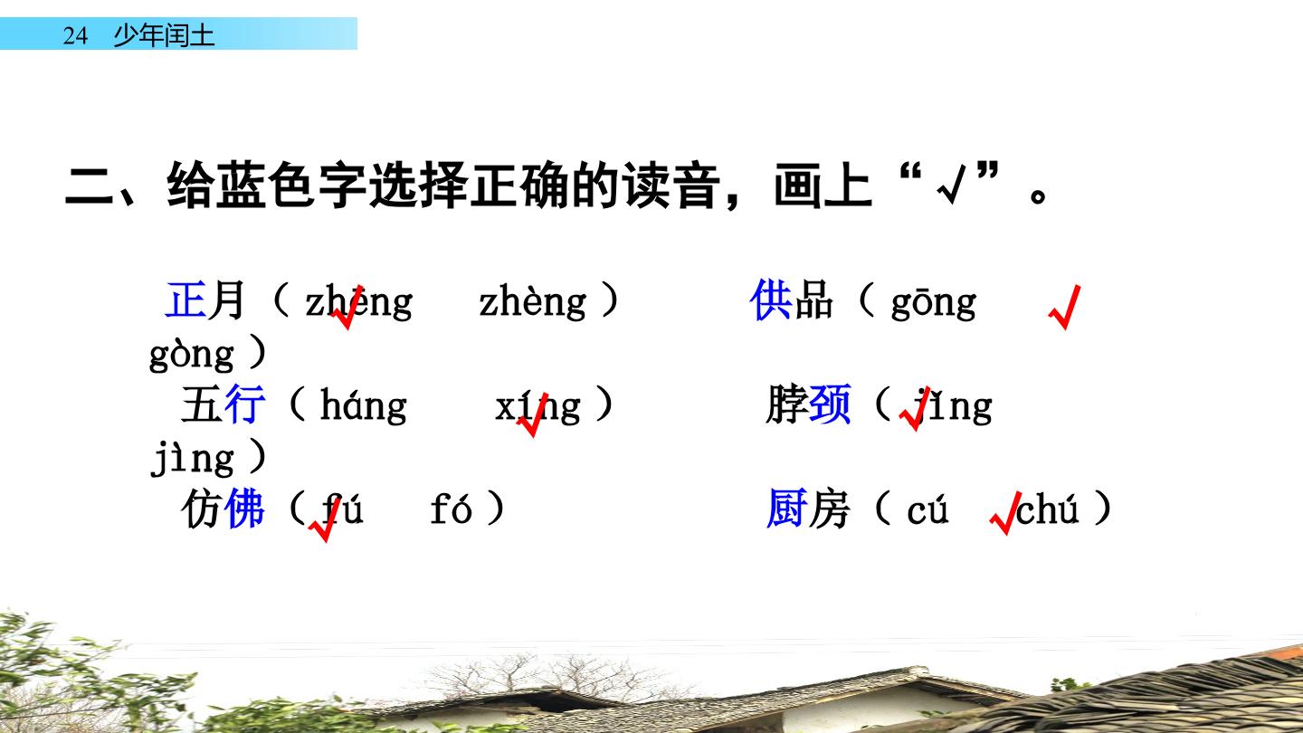 16.jpg