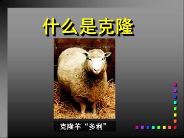 什么是克隆_课件1