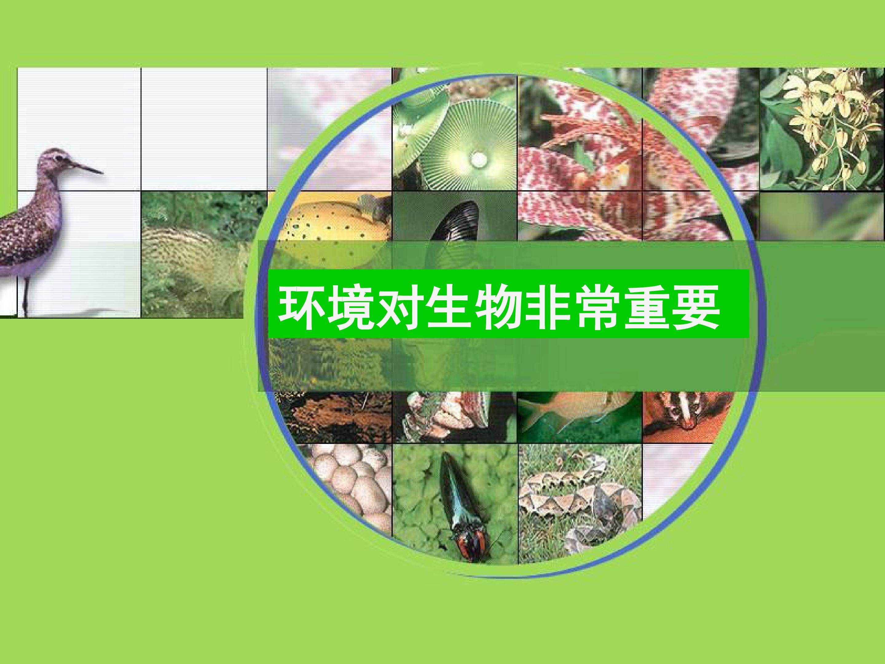 环境对生物非常重要_课件1