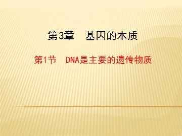 第1节  DNA是主要的遗传物质