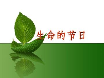 生命的节日_课件1