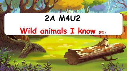 2A M4U2 Period2课件