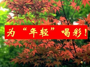 在萧红墓前的五分钟讲演_课件6