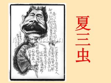 夏三虫_课件2