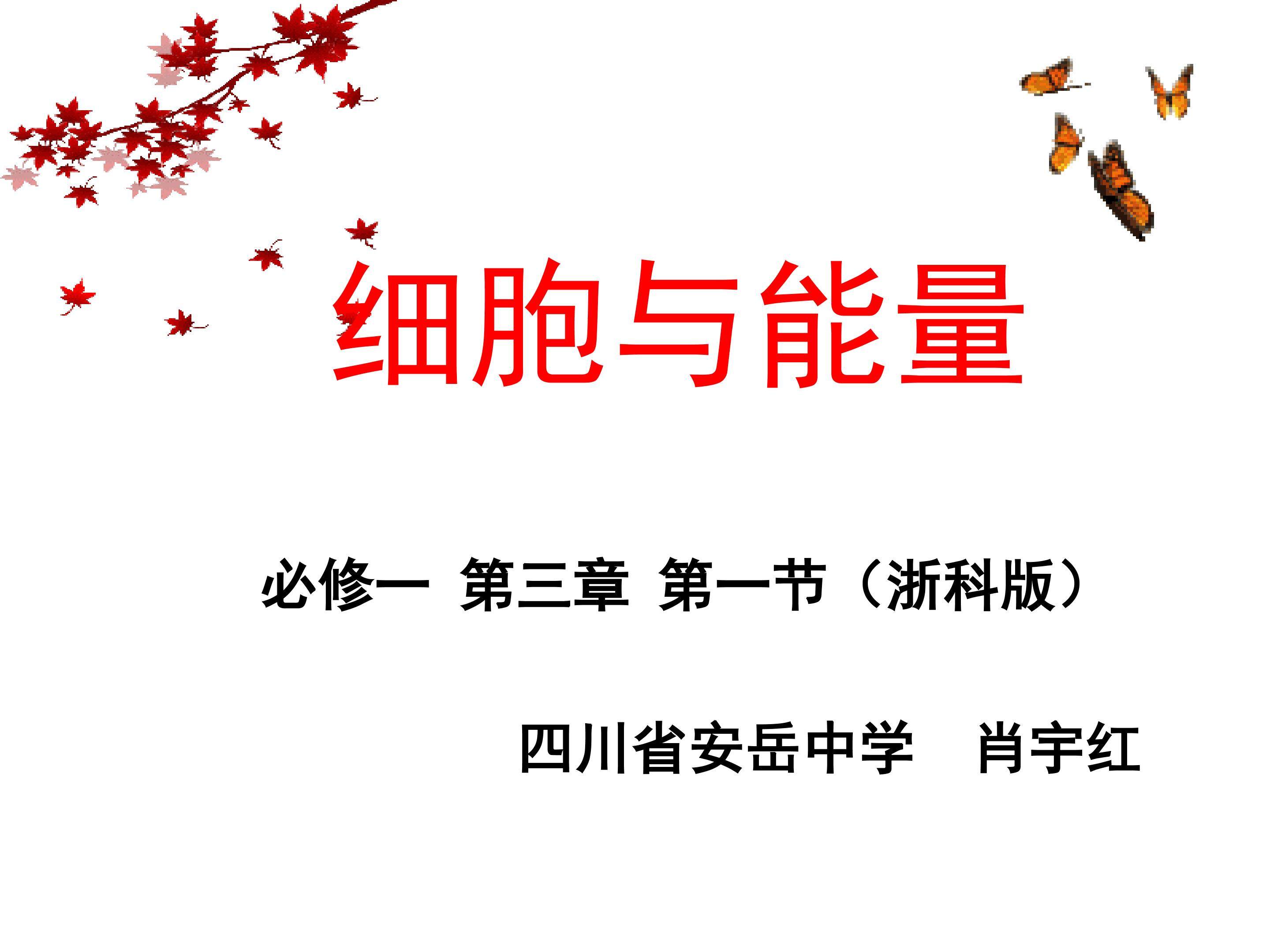 《细胞与能量》四川省安岳中学 肖宇红