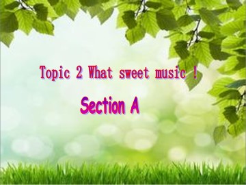 Topic 2  What sweet music!_课件1