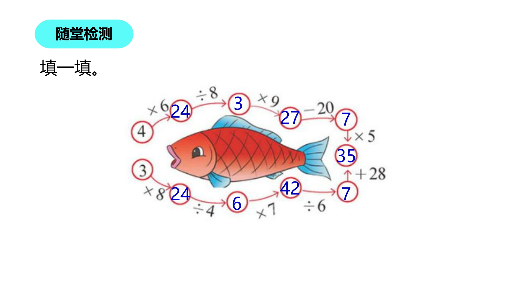 26.jpg