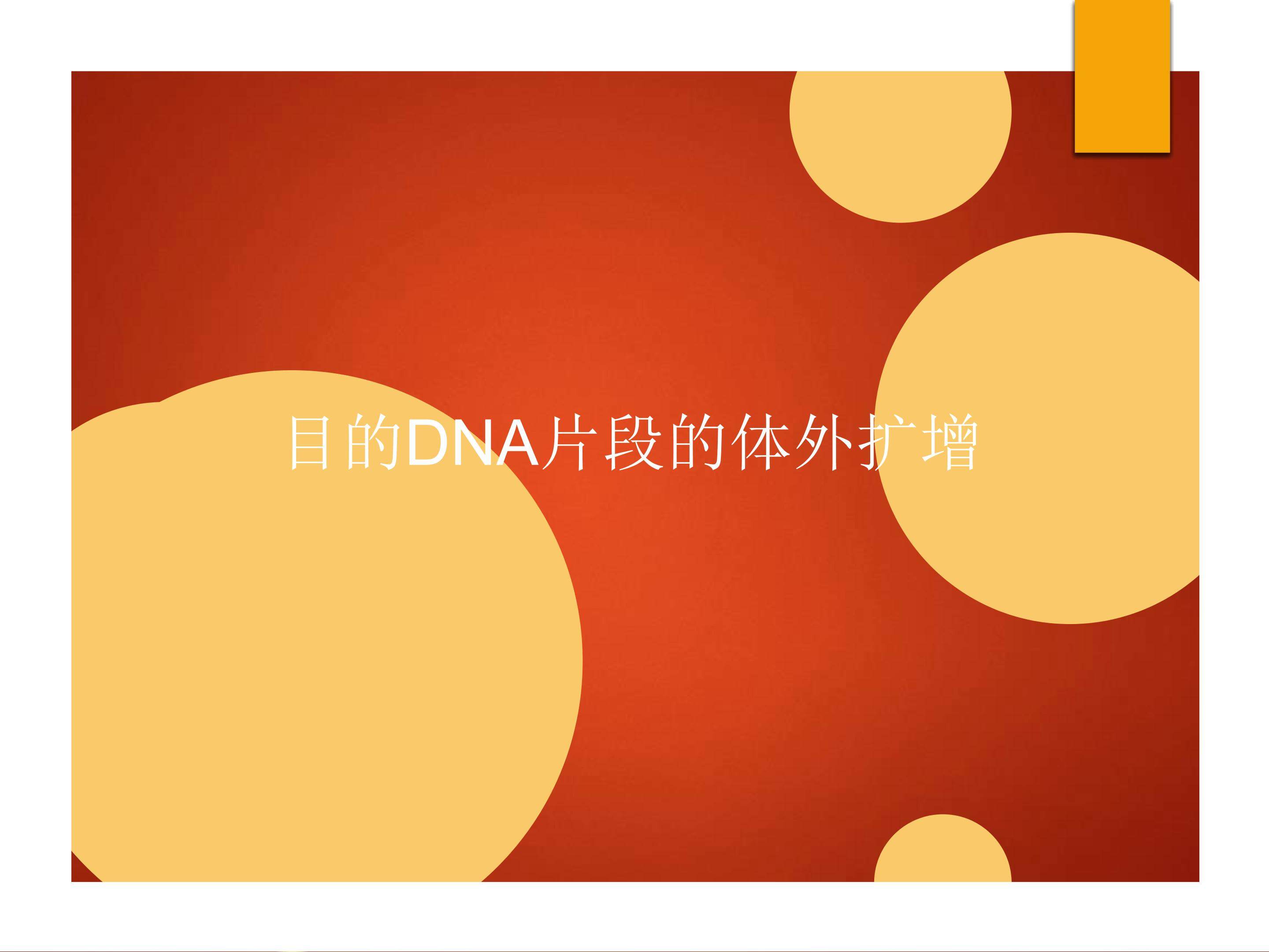 目的DNA片段的体外扩增_课件1