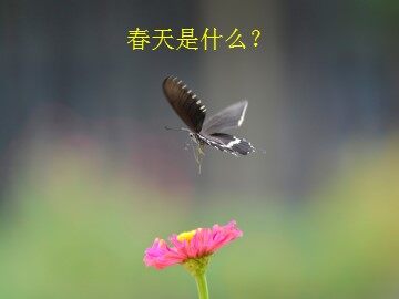2  春天在哪里