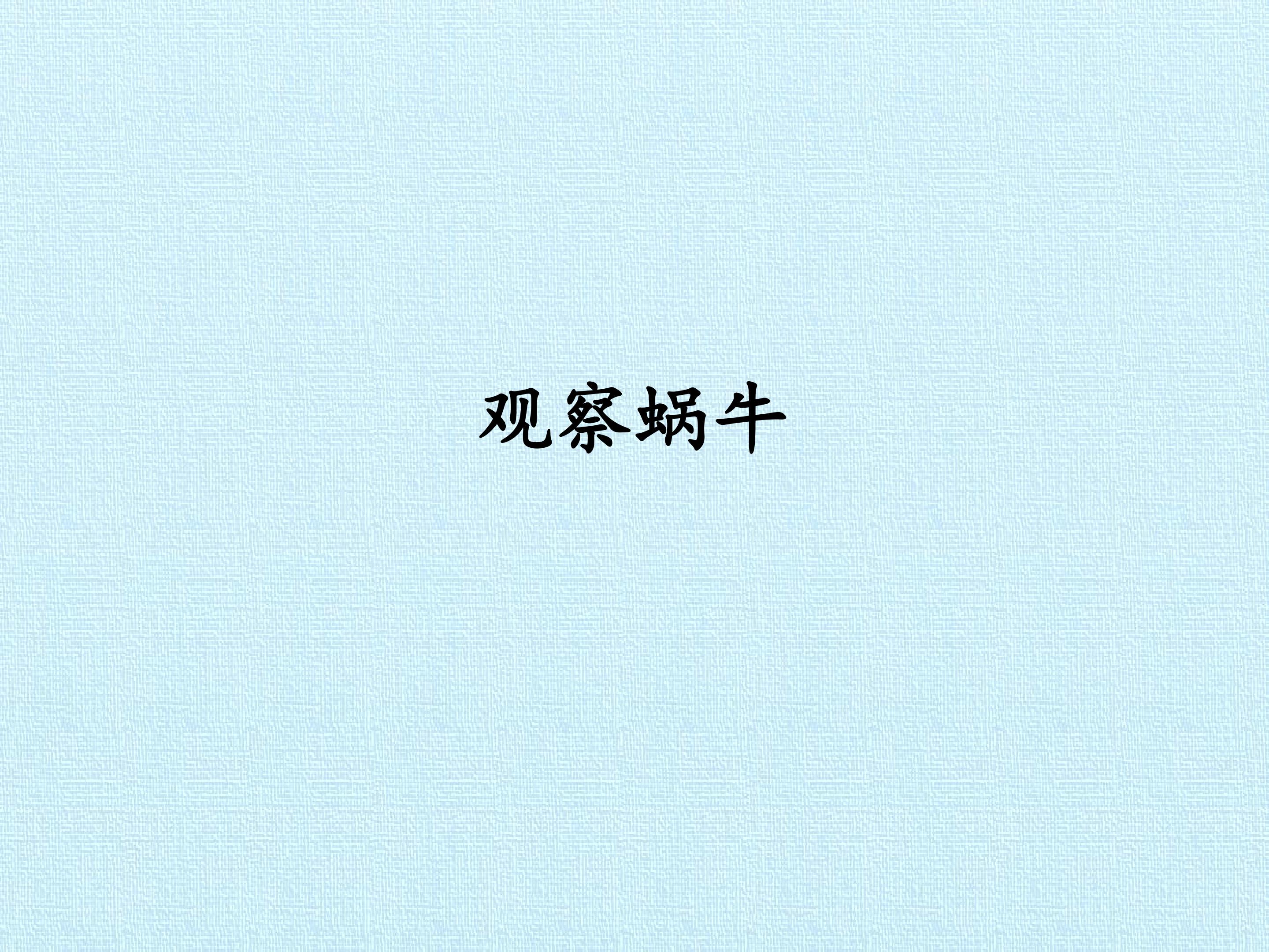 观察蜗牛