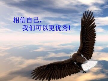 认识我们身边的植物和动物_课件1