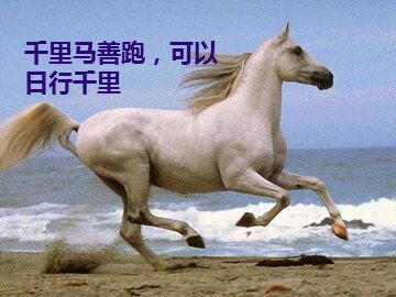 23- 马说