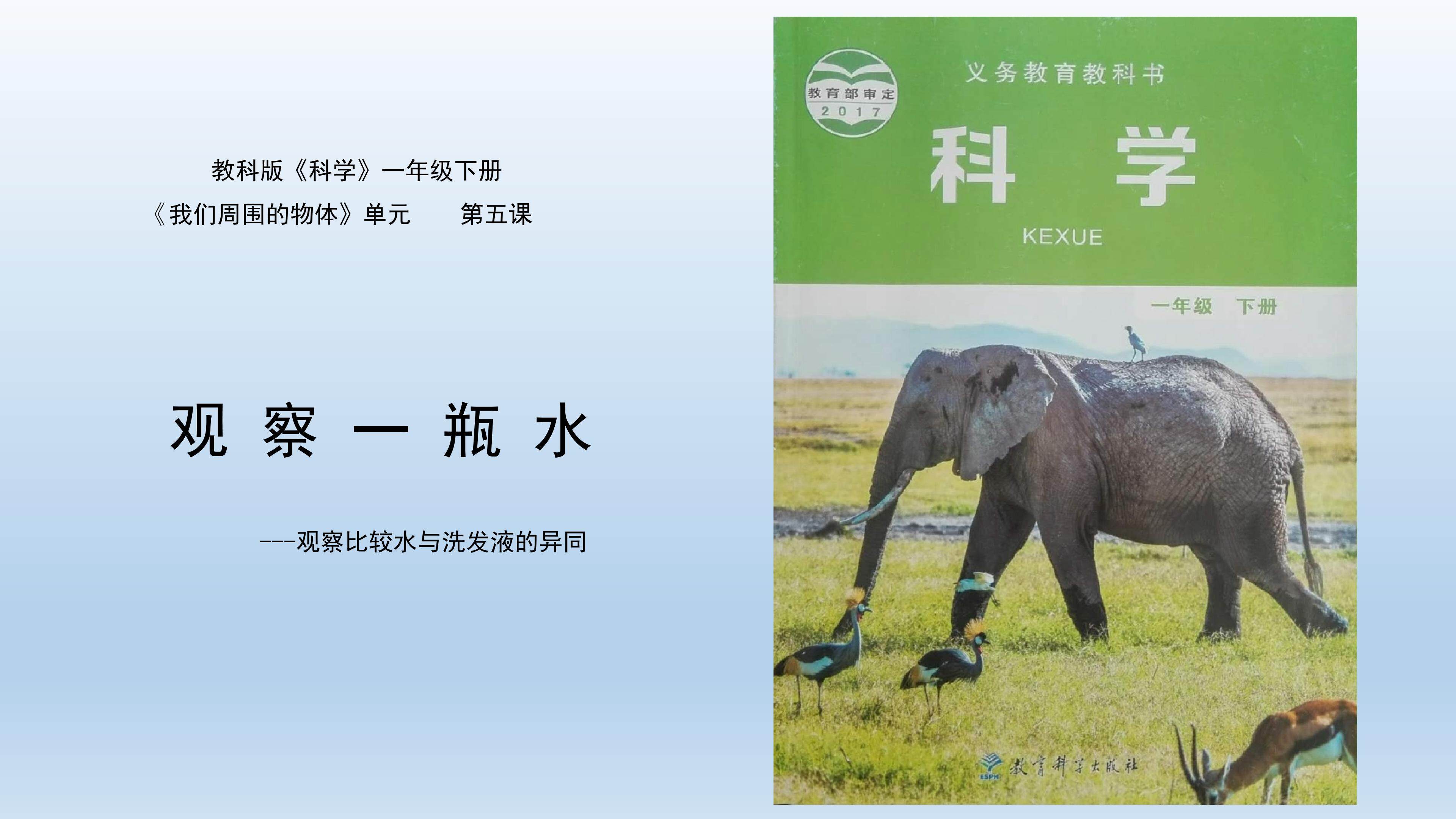 观察一瓶水