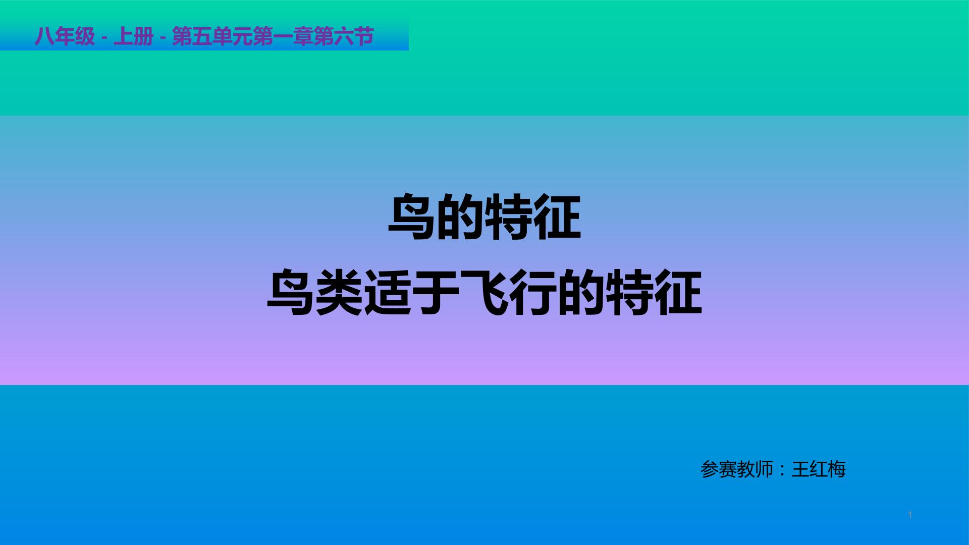 鸟适于飞行的特征